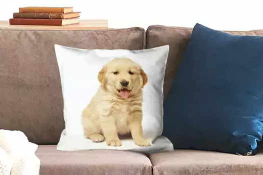 Декоративная подушка MuchoWow, цвет Bunt