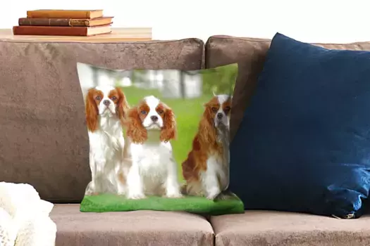 Декоративная подушка MuchoWow, цвет Bunt