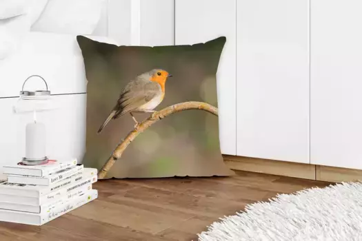 Декоративная подушка MuchoWow, цвет Bunt