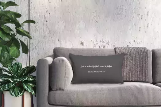 Декоративная подушка MuchoWow, цвет Bunt