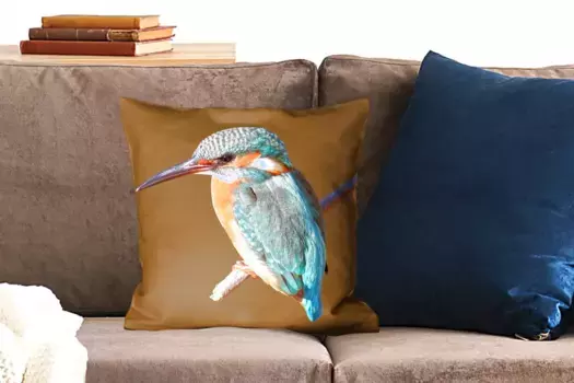 Декоративная подушка MuchoWow, цвет Bunt