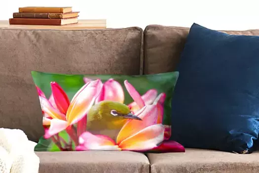 Декоративная подушка MuchoWow, цвет Bunt