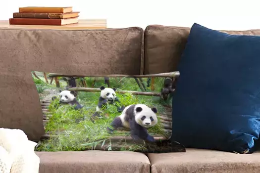 Декоративная подушка MuchoWow, цвет Bunt