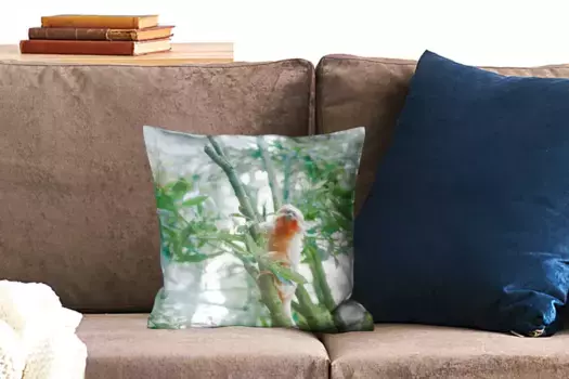 Декоративная подушка MuchoWow, цвет Bunt