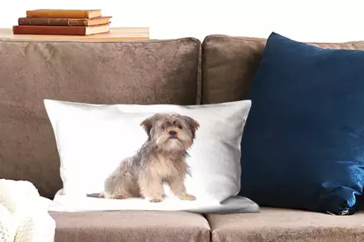 Декоративная подушка MuchoWow, цвет Bunt