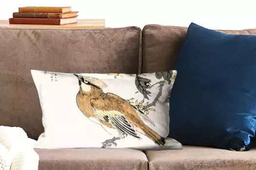 Декоративная подушка MuchoWow, цвет Bunt