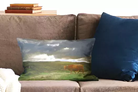 Декоративная подушка MuchoWow, цвет Bunt