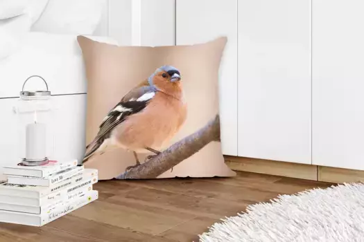 Декоративная подушка MuchoWow, цвет Bunt