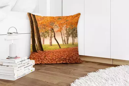 Декоративная подушка MuchoWow, цвет Bunt