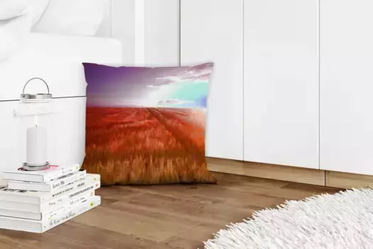 Декоративная подушка MuchoWow, цвет Bunt