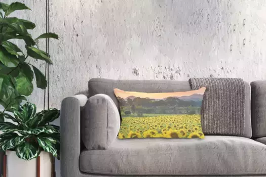 Декоративная подушка MuchoWow, цвет Bunt