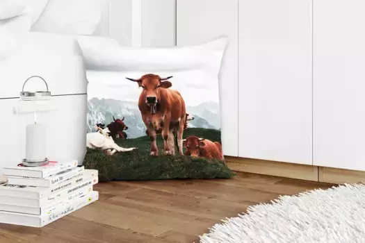 Декоративная подушка MuchoWow, цвет Bunt