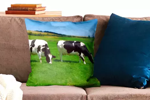 Декоративная подушка MuchoWow, цвет Bunt