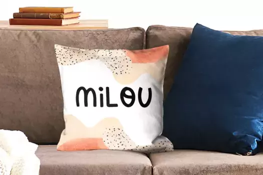 Декоративная подушка MuchoWow, цвет Bunt