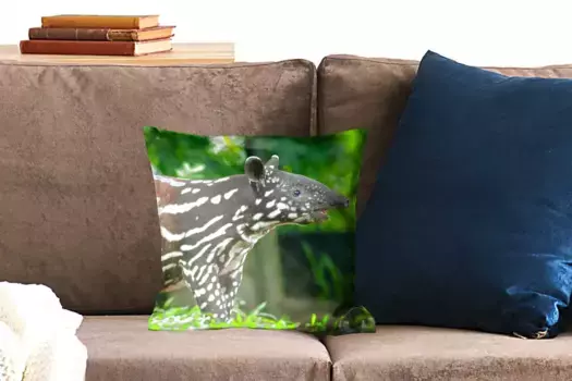 Декоративная подушка MuchoWow, цвет Bunt