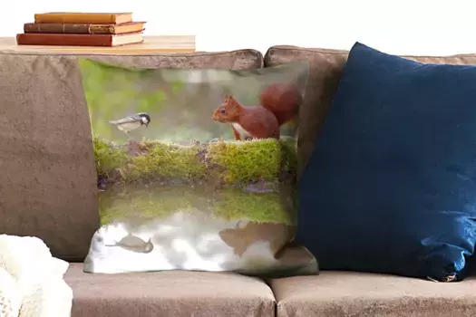 Декоративная подушка MuchoWow, цвет Bunt