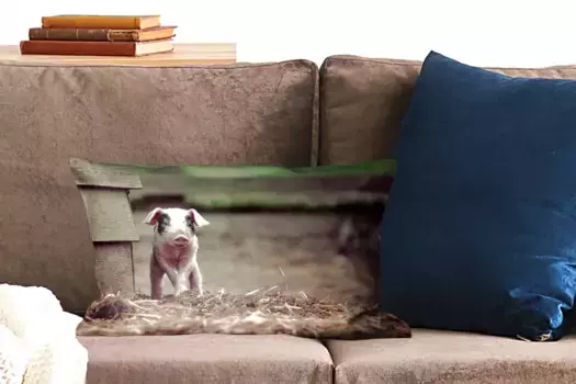 Декоративная подушка MuchoWow, цвет Bunt