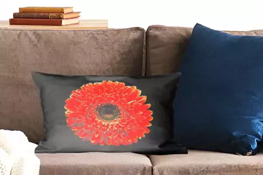 Декоративная подушка MuchoWow, цвет Bunt