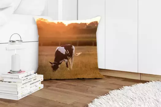 Декоративная подушка MuchoWow, цвет Bunt