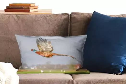 Декоративная подушка MuchoWow, цвет Bunt