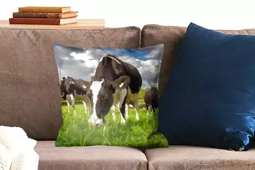 Декоративная подушка MuchoWow, цвет Bunt