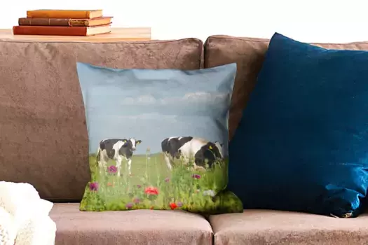 Декоративная подушка MuchoWow, цвет Bunt