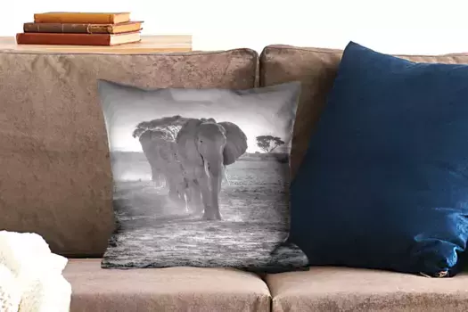 Декоративная подушка MuchoWow, цвет Bunt