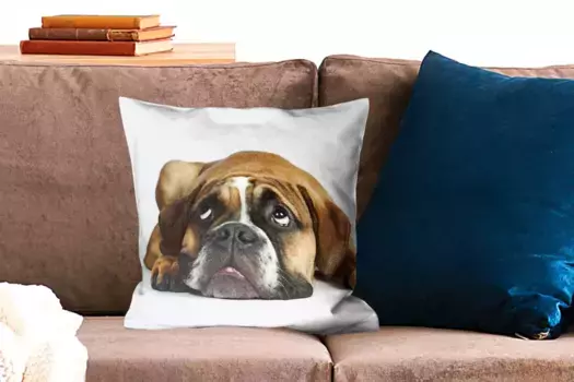 Декоративная подушка MuchoWow, цвет Bunt