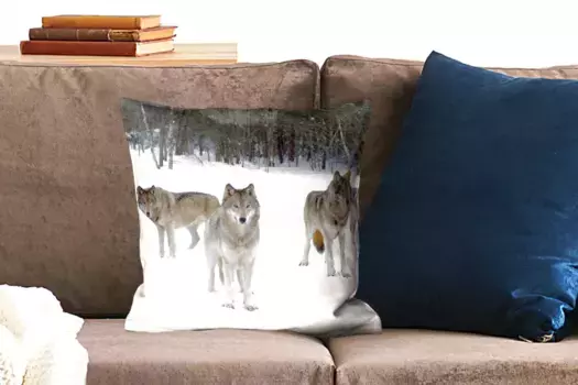 Декоративная подушка MuchoWow, цвет Bunt