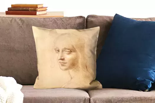 Декоративная подушка MuchoWow, цвет Bunt