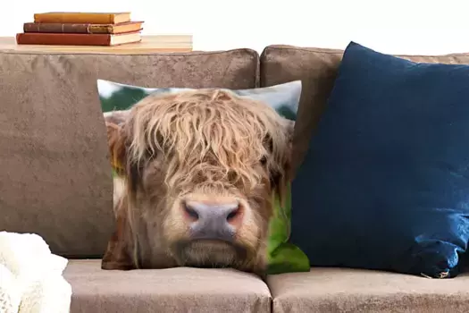 Декоративная подушка MuchoWow, цвет Bunt