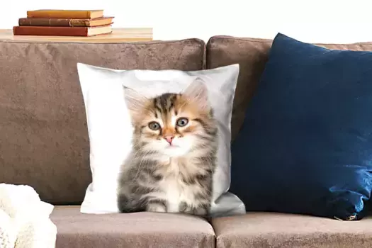 Декоративная подушка MuchoWow, цвет Bunt