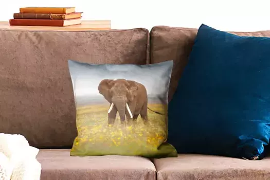 Декоративная подушка MuchoWow, цвет Bunt