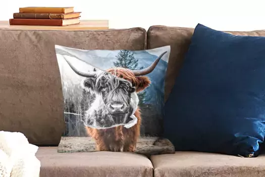 Декоративная подушка MuchoWow, цвет Bunt