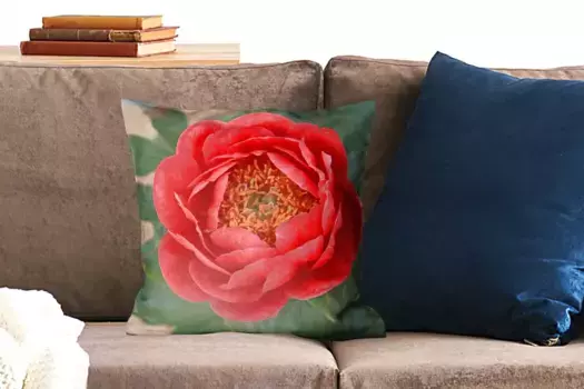 Декоративная подушка MuchoWow, цвет Bunt