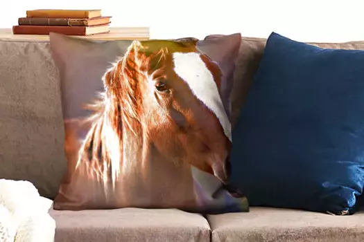 Декоративная подушка MuchoWow, цвет Bunt