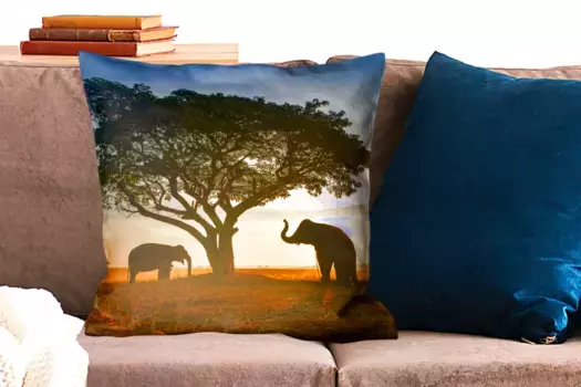 Декоративная подушка MuchoWow, цвет Bunt