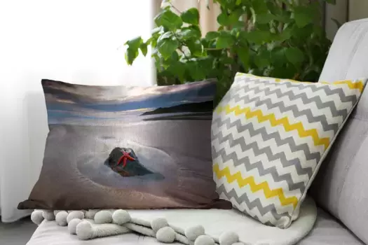 Декоративная подушка MuchoWow, цвет Bunt