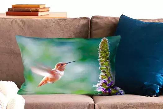 Декоративная подушка MuchoWow, цвет Bunt