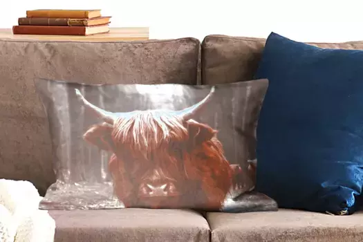 Декоративная подушка MuchoWow, цвет Bunt