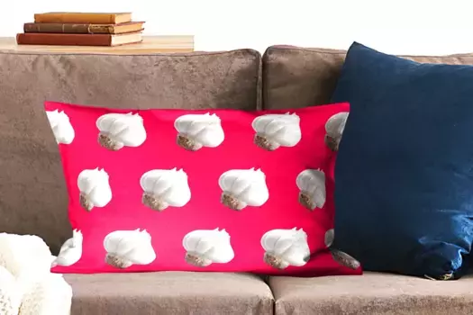 Декоративная подушка MuchoWow, цвет Bunt