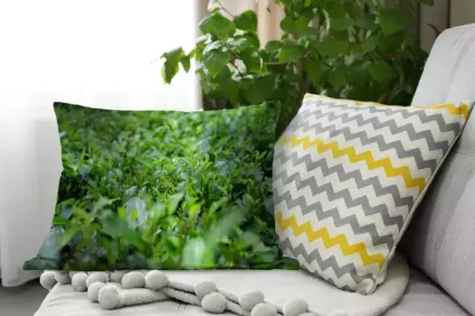 Декоративная подушка MuchoWow, цвет Bunt