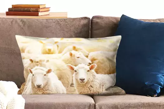 Декоративная подушка MuchoWow, цвет Bunt