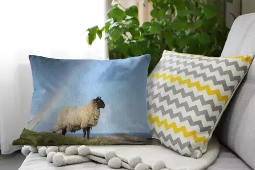 Декоративная подушка MuchoWow, цвет Bunt