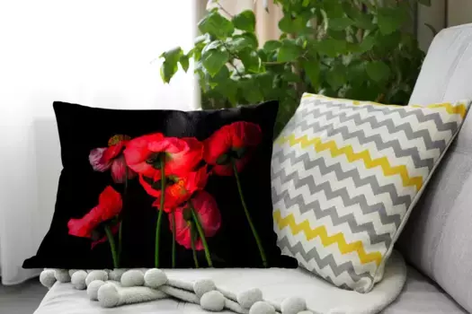 Декоративная подушка MuchoWow, цвет Bunt