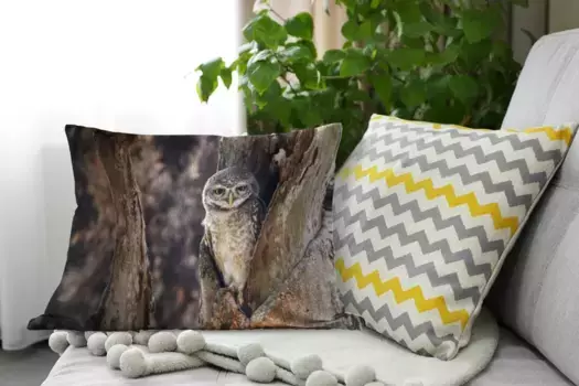 Декоративная подушка MuchoWow, цвет Bunt