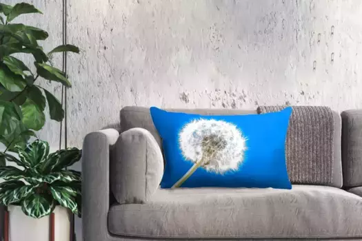 Декоративная подушка MuchoWow, цвет Bunt