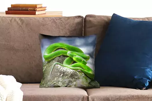 Декоративная подушка MuchoWow, цвет Bunt