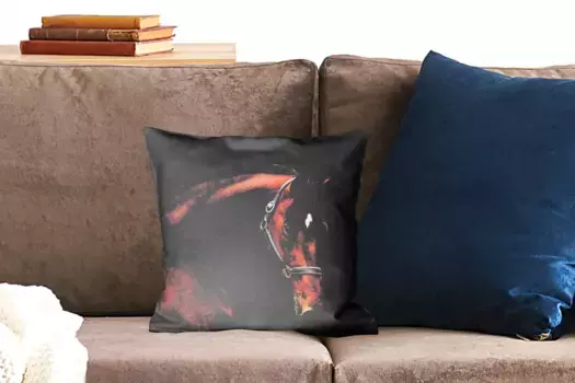 Декоративная подушка MuchoWow, цвет Bunt