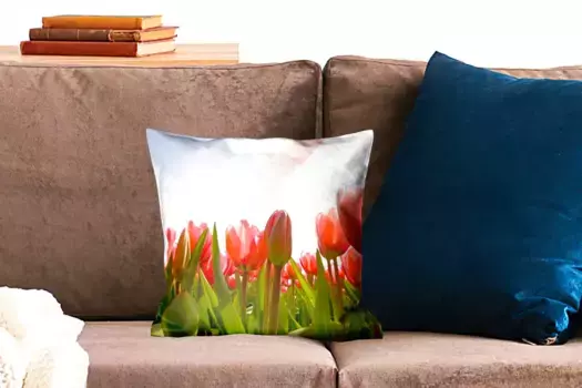 Декоративная подушка MuchoWow, цвет Bunt